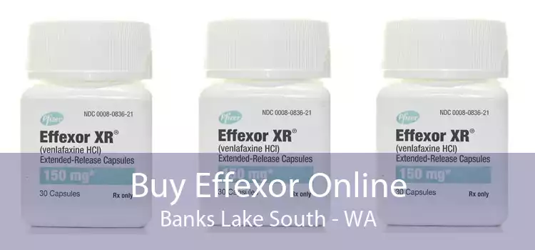 Buy Effexor Online Banks Lake South - WA