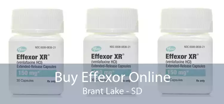 Buy Effexor Online Brant Lake - SD