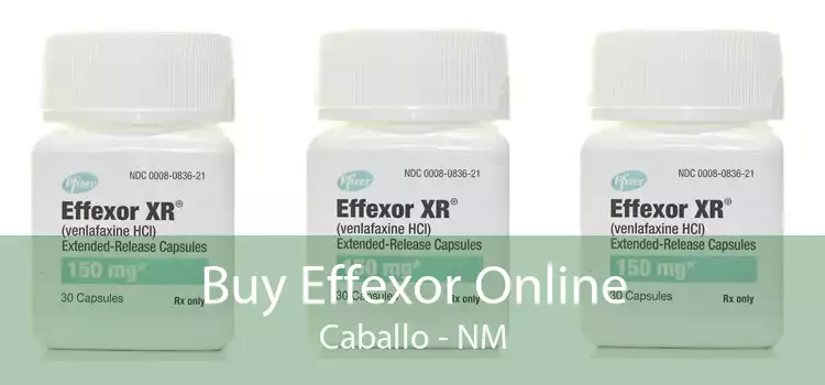 Buy Effexor Online Caballo - NM