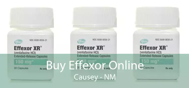 Buy Effexor Online Causey - NM