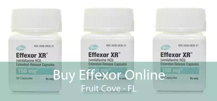 Buy Effexor Online Fruit Cove - FL