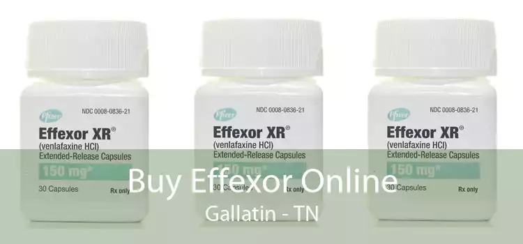 Buy Effexor Online Gallatin - TN