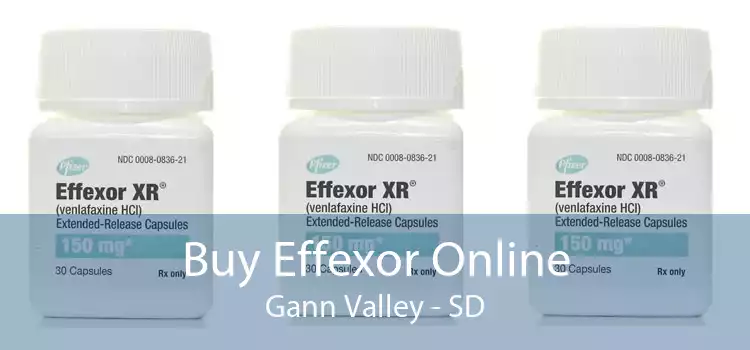 Buy Effexor Online Gann Valley - SD