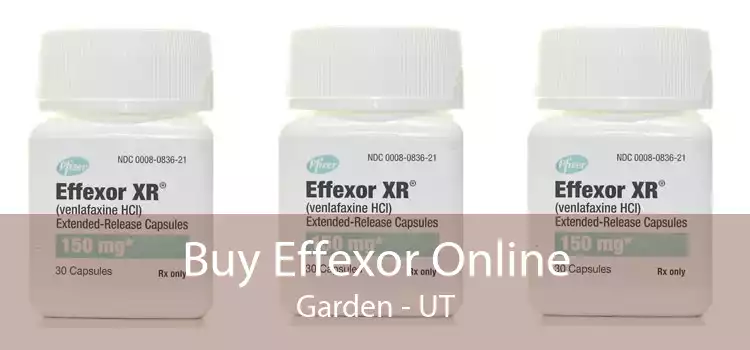 Buy Effexor Online Garden - UT