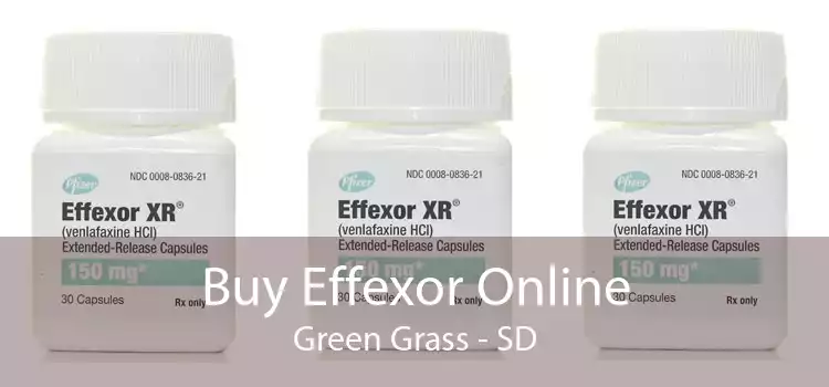 Buy Effexor Online Green Grass - SD