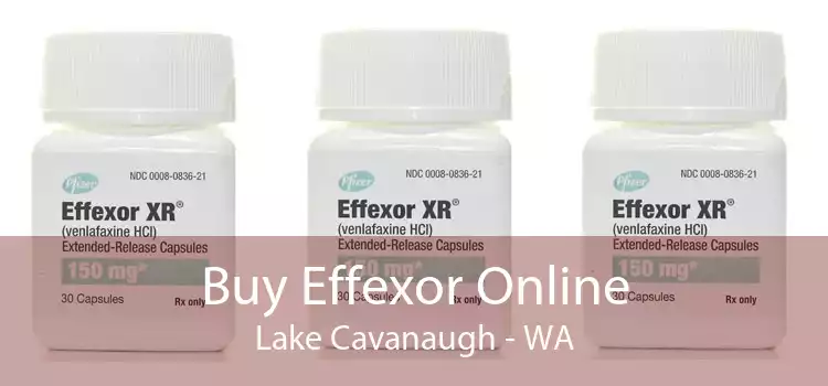 Buy Effexor Online Lake Cavanaugh - WA