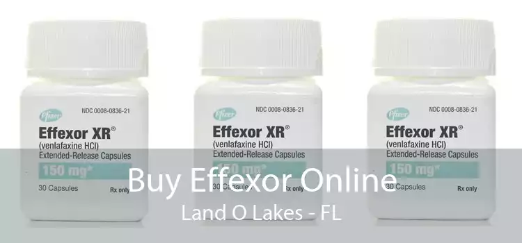 Buy Effexor Online Land O Lakes - FL