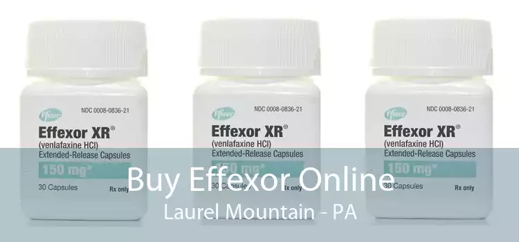 Buy Effexor Online Laurel Mountain - PA