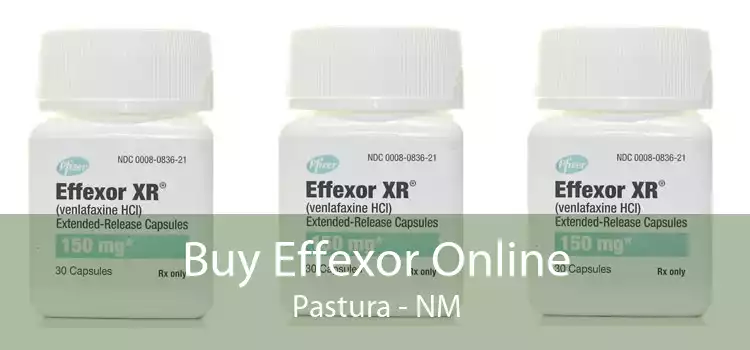 Buy Effexor Online Pastura - NM