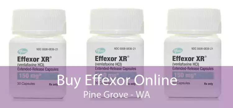 Buy Effexor Online Pine Grove - WA