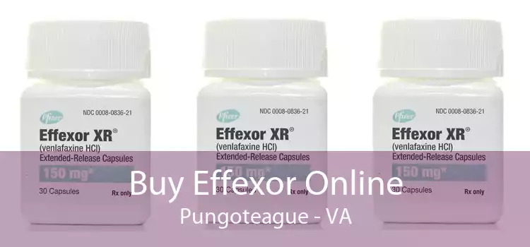 Buy Effexor Online Pungoteague - VA