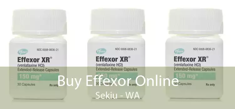 Buy Effexor Online Sekiu - WA