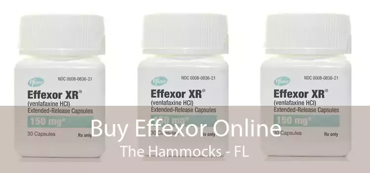 Buy Effexor Online The Hammocks - FL