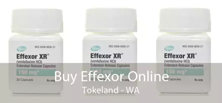 Buy Effexor Online Tokeland - WA