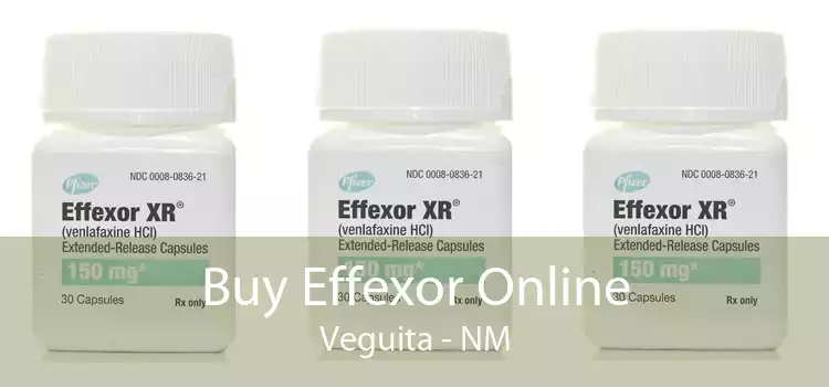 Buy Effexor Online Veguita - NM