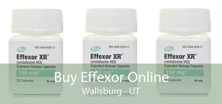 Buy Effexor Online Wallsburg - UT